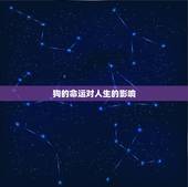 1970狗一辈子命运(如何影响它的人生)