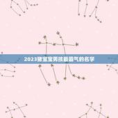 2023猪宝宝男孩最霸气的名字(如何选择推荐)
