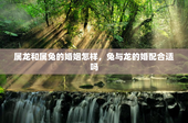 属龙和属兔的婚姻怎样，兔与龙的婚配合适吗