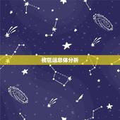 双子座女生今年桃花运(爱情运势大介绍)