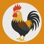 属鸡2025年运势及运程完整版：生肖鸡2025年运势