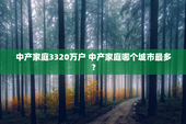 中产家庭3320万户 中产家庭哪个城市最多？