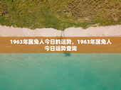 1963年属兔人今日的运势，1963年属兔人今日运势查询