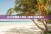 2019中国稀土现状 1吨稀土价格多少