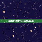 属蛇的今年多大2023年出生呢(介绍属蛇人的年龄计算方法)