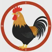 属鸡是哪年出生的今年多大岁数，属鸡的今年多大了岁数表