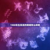 1988年生肖龙的婚姻怎么样呢(介绍婚姻观念与性格影响大)