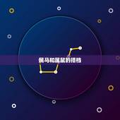 属马跟什么属相合作好(搭档大介绍)