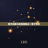 属牛和属马的婚姻能过一辈子吗女(介绍属相配对的)