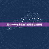 属牛1985几次婚姻(牛年人的婚姻状况调查)