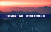 1996年是什么命，1996年生日什么命