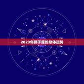 狮子座星座运势紫薇(2023年运势大介绍)