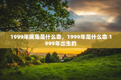 1999年属兔是什么命，1999年是什么命 1999年出生的