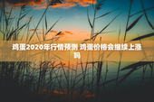 鸡蛋2020年行情预测 鸡蛋价格会继续上涨吗