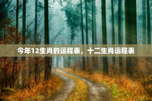今年12生肖的运程表，十二生肖运程表