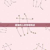 属猪的哪年出生万年历(猪年生肖运势详解)