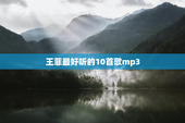 王菲最好听的10首歌mp3