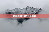 赵丽颖2019拍什么新剧