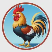 生肖的五行和八字的五行相配吗：属鸡的和什么属相最配