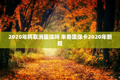 2020年将取消医保吗 来看医保卡2020年新规