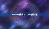 1981年属鸡2023年偏财运(财富大爆发)