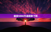 田亮5000万追回来了吗