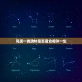 鼠对鼠相配婚姻好不好(讨论同属一类是否适合相伴一生)