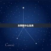 女狗配什么生肖的(配对指南)