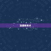 最聪明的狗狗品种排名(哪些狗狗最聪明)