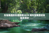 东旭集团的负面新闻2019 揭东旭集团资金链及现状