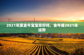 2021年属金牛宝宝命好吗，金牛座2021年运势