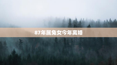 87年属兔女今年离婚