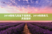 2018狗年几月生下是男孩，2018年狗年几月宝宝好