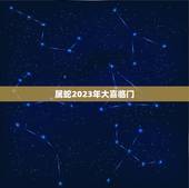 属蛇2023年大喜临门(详解蛇年的运势和吉祥物)