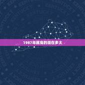 1987年属兔的现在多大(属兔人士的年龄计算方法)