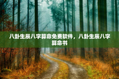 八卦生辰八字算命免费软件，八卦生辰八字算命书