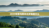 2023年属马男冲太岁佩戴什么，2021属马的冲太岁佩戴什么好