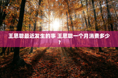 王思聪最近发生的事 王思聪一个月消费多少？