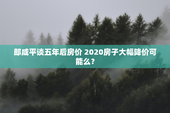 郎咸平谈五年后房价 2020房子大幅降价可能么？