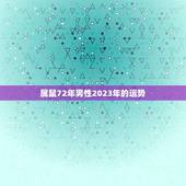 属鼠72年男性2023年的运势(财运亨通事业有成)