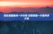 现在美国猪肉一斤价格 近期美国一斤猪肉多少钱