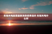 东旭光电股票最新消息债券违约 东旭光电什么时