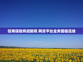 信用保险将迎新规 网贷平台业务面临压缩