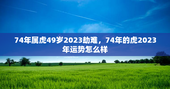 74年属虎49岁2023劫难，74年的虎2023年运势怎么样