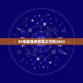 87年属兔有牢狱之灾吗2023(介绍属兔人在2023年的运势)