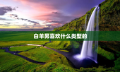 白羊男喜欢什么类型的