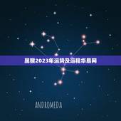 属猴2023年运势及运程华易网(猴子逢凶化吉财运亨通)