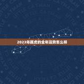 2023年属虎的全年运势怎么样(狮子山上的虎迎接新的挑战)