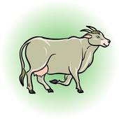 79年羊几月出生命好苦(如何应对命运的挑战)