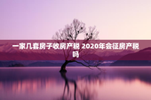 一家几套房子收房产税 2020年会征房产税吗